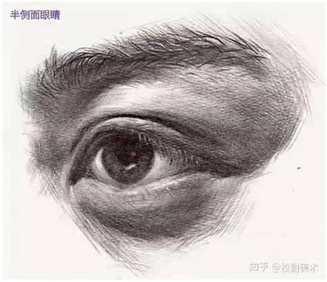 校尉美术：素描眼睛三大角度：正面、半侧面、侧面的详细画法！赶紧收藏 知乎