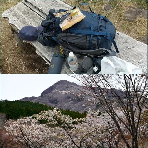 九重山麓花散策・・・四千本のヤマザクラ満開。 そうだ！山に登ろう