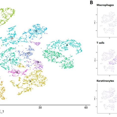 The T Distributed Stochastic Neighbor Embedding T Sne Plot Of The