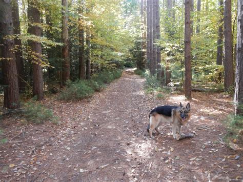 Mahican-Mohawk Trail Maps: Other Trails in Mohawk Trail State Forest