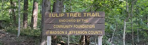 Tulip Tree Trail, Indiana - 10 Reviews, Map | AllTrails