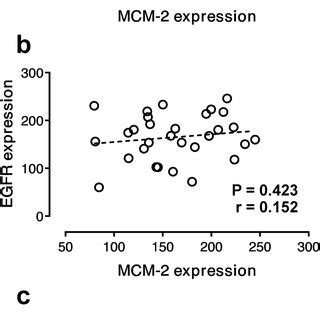 Pearsons Correlation Between The Expression Levels Of MCM 2 Ki 67