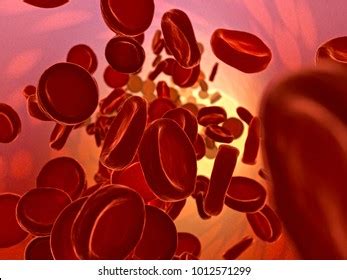 Polycythemia Vera Rare Slow Growing Blood Cancer Stock Illustration