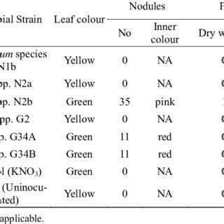 Effect of some tropical rhizobia on the nodulation, nitrogen fixation ...