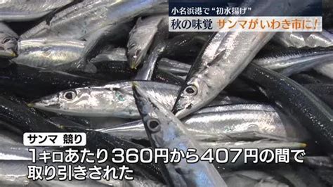 「おいしいサンマを食べて！」小名浜港でサンマの初水揚げ！福島（2024年11月5日掲載）｜日テレnews Nnn