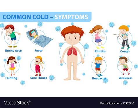 Common cold symptoms cartoon style infographic Vector Image