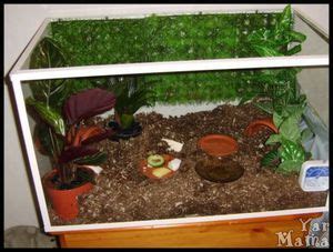 Террариум для улиток ахатин: уход и содержание, контейнер и аквариум