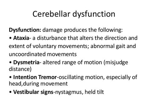 Cerebellum