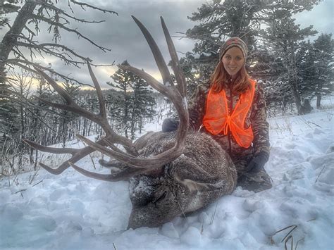 Montana Whitetail Deer Hunts