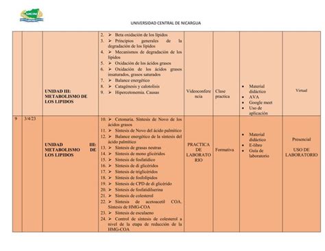 Ejemplo de sílabo de bioquímica para estudiantes de enfermería PPT