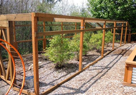 Blueberry Cage Take That Birds Garden Beds Blueberry Gardening