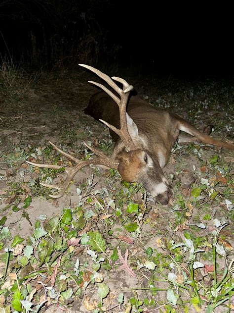 2023 Deer Hunting Report, Matt Lynch's 2023 Bucks, and How are Illinois