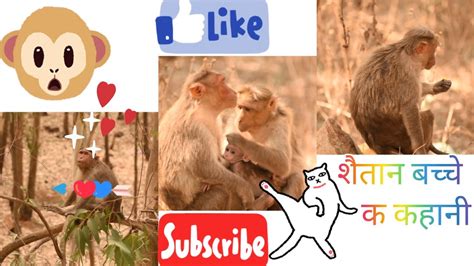 Ghar Ghar Ki Kahani Monkey Ki Zubanicomedy Video Viral