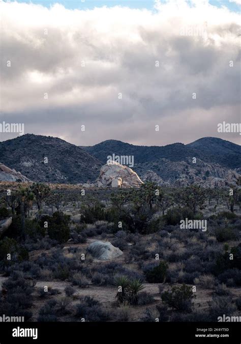 An Aerial View Of Rocky Mountains Surrounded By Growing Trees Stock