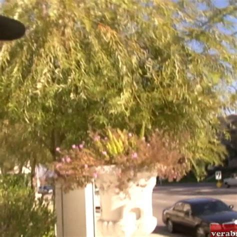 Black Guy Fucks A Blonde MILF With Big Tits While She Wears Nylon