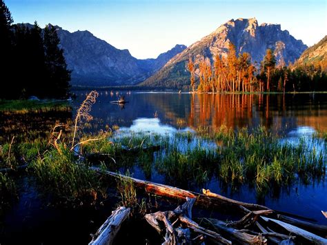 Bakgrundsbild Grand Teton Nationalpark Wyoming Natur Ladda Ner