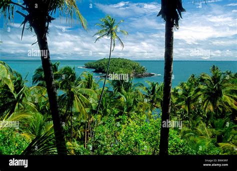 Guyana Coast South America Hi Res Stock Photography And Images Alamy