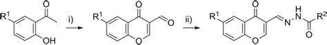 Synthesis Of Chromone Derivatives Targeting Stat Sh Domains I Pocl