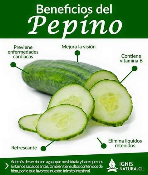 Conocido Como Un Superalimento El Pepino Es Una Verdura Que Aporta