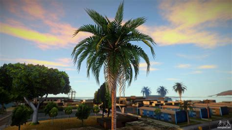 Palm Trees From Definitive Edition Para GTA San Andreas