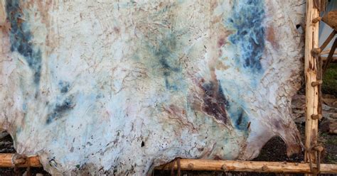 hide tanning solution recipes eatingthewildcom