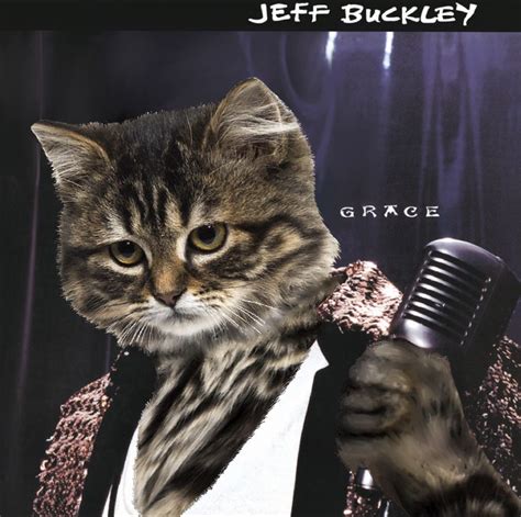 The Kitten Covers Legendary Album Covers Reimagined With Kittens Artofit