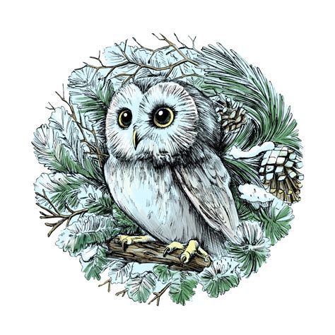 Сова В Лесу Картинки Для Детей – Telegraph