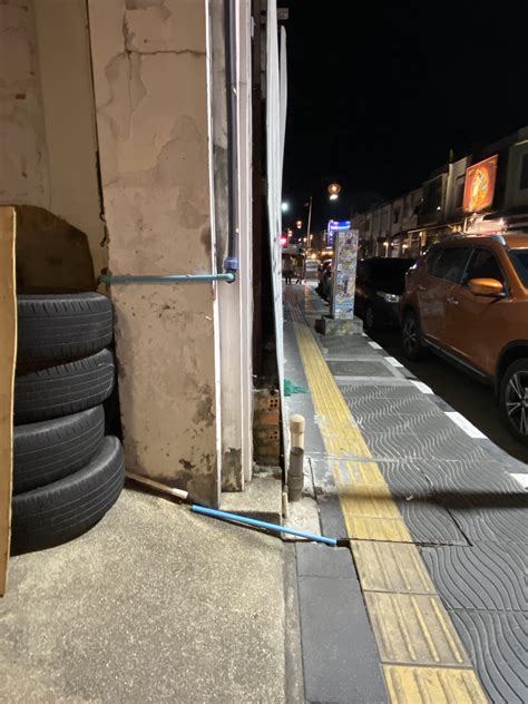 I thought it was a squirrel trying to hide! : r/ThereIsnoCat