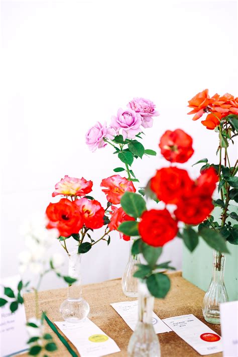 Read Inspiring Life Stories and Tributes at Barham Family Obituaries 10