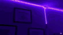 Lighs Room Lights GIF - Lighs Room Lights Purple - Discover & Share GIFs