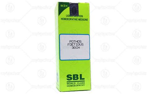 Sbl Pothos Foetidus Dilution 3 Ch Uses Price Dosage Side Effects Substitute Buy Online