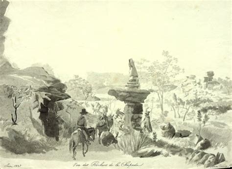 Первая русская экспедиция в Бразилию