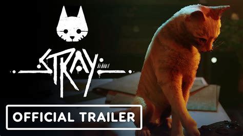 Stray Official Xbox Release Date Trailer Annapurna Interactive