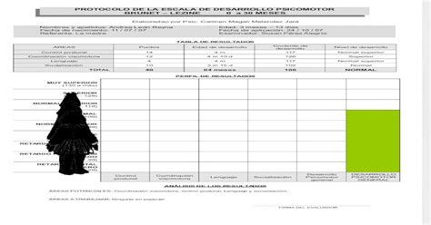 Escala Desarrollo Psicomotor Brunet Lezyne Pdf Punkpase