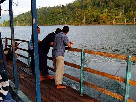 Fishes at Tasik Kenyir ( Kenyir Lake ) - fishing spots are at Cacing ...