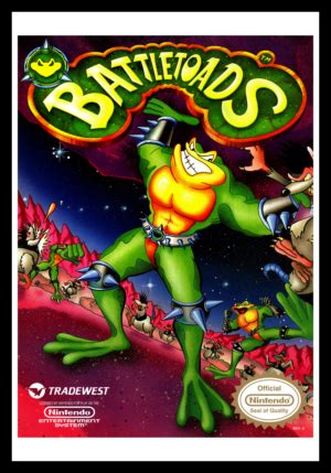 NES Battletoads Poster Retro Game Cases