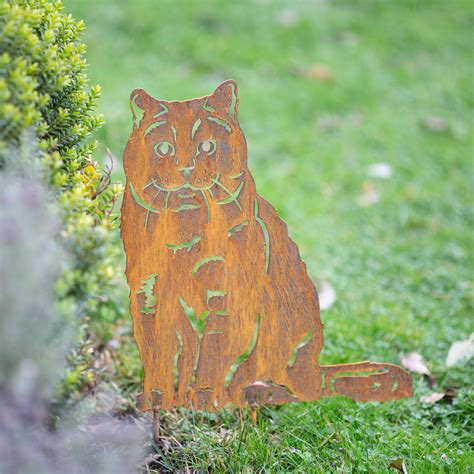 calico cat short hair 9