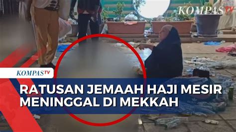 Ratusan Jemaah Haji Asal Mesir Meninggal Dunia Diduga Akibat Dehidrasi