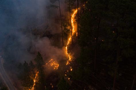 Aktualności strona 156 rolnicze wiadomości fakty informacje