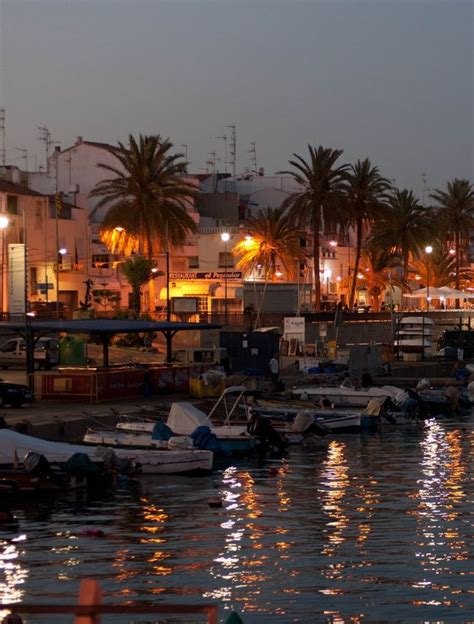 Many Small Boats Are Docked In The Water At Night With Palm Trees And