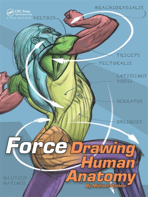 Force, Drawing Human Anatomy - Printige Bookstore