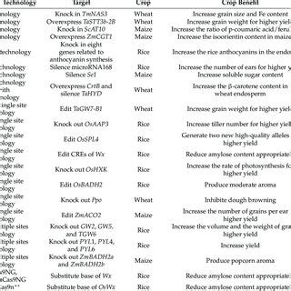 Application of genetic engineering technology in improving crop yield ...