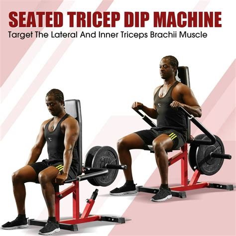 Seated Dip Machine For Chest | Awesome Home