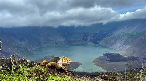 islands galapagos conservancy