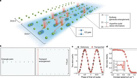 Quantum Information Architecture Enabled By Coherent Transport Of