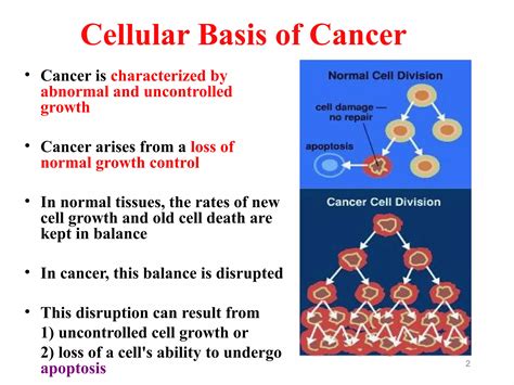 molecular basis  cancer