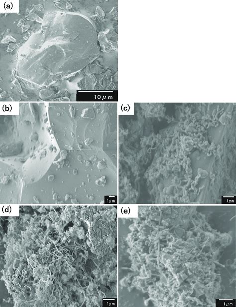 Sem Micrographs Of A The Starting Material And Samples After