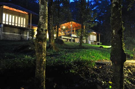 Wayanad Jungle / Forest Resort - LanternStay Resort, Wayanad