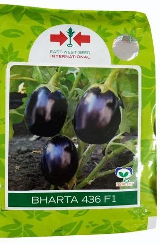 Natural Green Bharta F Brinjal Seeds Packaging Type Packet