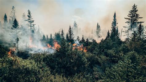 Incendies au Canada les feux de forêts ont généré un record d